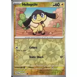 Helioptile Reverse