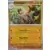 Surging Sparks SSPEN - Primeape Reverse