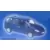 CITROËN C8 GENDARMERIE