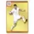 Foot 2011-12 - Olivier Giroud - Le film du championnat