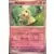 Paldea Evolved - PALEN - Mimikyu Reverse