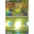 Rozbouton Master Ball