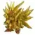 SDW Heroes Superior Strike F Dragon