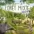 Forêt Mixte Extension Lisière de Forêt