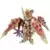 Diao Chan Kshatriya