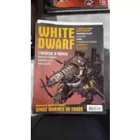 White Dwarf N°222