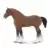 Clydesdale Stallion