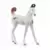 Horse Club - Poulain Marwari