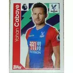 Yohan Cabaye