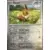 Stellar Crown SCREN - Eevee Reverse
