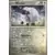 Stellar Crown SCREN - Wooloo Reverse