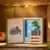 Toy Story Andy\'s Room - Rex