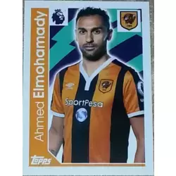 Ahmed Elmohamady