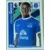 Premier League 2017 - Idrissa Gana