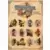 Fantasy Life : Guide d'Aventure Officiel