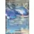 Kyogre EX