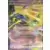 Cartes Promo Ecarlate et Violet - SVPfr - Xerneas EX