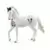 Horse Club - Étalon Marwari