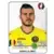 Euro 2016 France - Denis Alibec - Romania