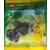 LEGO Minecraft - Cave Explorer with Spider