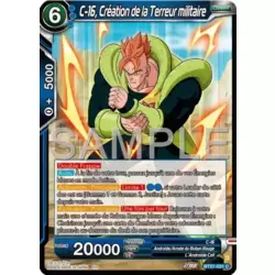 C-16, Création de la Terreur militaire