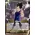 Proud Warrior [SD22] - Vegeta // Vegeta SS, Instincts de Combat