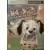 PC Games - Les 102 Dalmatiens Atelier de jeux - Hits Collection