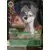 L\'Ile d\'Archazia - Chapitre 7 - Clochard, Chien entreprenant