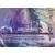 Cartes Promo Lorcana - Elsa\'s Ice Palace, Place of Solitude