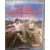 Jeux Amstrad CPC - Peter Beardsley\'s International Football