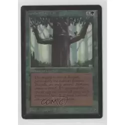 Ironroot Treefolk