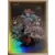 Limited Run Cards Series 2 - Shantae Day Card