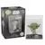 Star Wars - Yoda