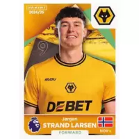 Jørgen Strand Larsen
