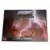 Masters of The Universe Fields of Eternia - Sort de Séparation