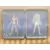 Jeux PS4 - Boitier FR4ME Saint Seiya: Brave Soldiers
