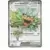 Scarlet & Violet Promos - SVPen - Teal Mask Ogerpon EX