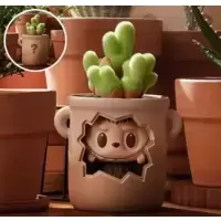 Flower Pot