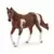 Jument Paint Horse