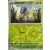 Aventures Ensemble - JTGFR - Lilliterelle Reverse