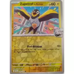 Zapétrel de Mashynn Reverse