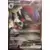 Zoroark EX de N