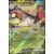 Journey Together - JTGEN - Amoonguss EX