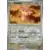Journey Together - JTGEN - Audino Reverse