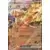 Journey Together - JTGEN - Blaziken EX