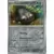 Journey Together - JTGEN - Galarian Stunfisk Reverse