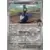 Journey Together - JTGEN - Hop\'s Cramorant Reverse