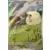 Journey Together - JTGEN - Hop\'s Wooloo