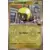 Journey Together - JTGEN - Iono\'s Tadbulb Reverse