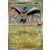 Journey Together - JTGEN - Iono\'s Wattrel Reverse